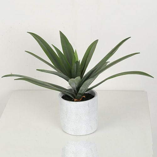 Artificial Rohdea Japonica Bonsai, 19 CM - 32 CM