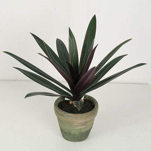Artificial Rohdea Japonica Bonsai, 19 CM - 32 CM