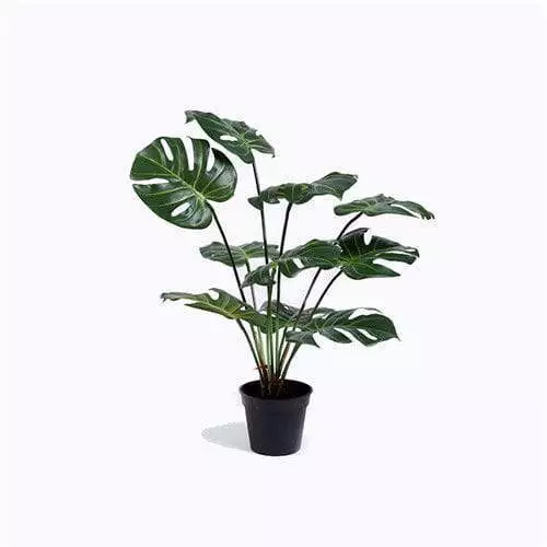 artificial swiss cheese plant