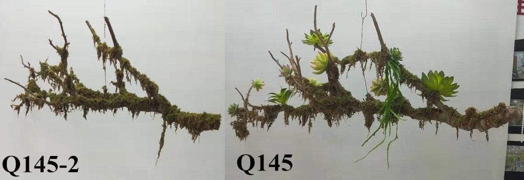 Artificial Hanging Fern Plants From Sharetrade - China Supplier