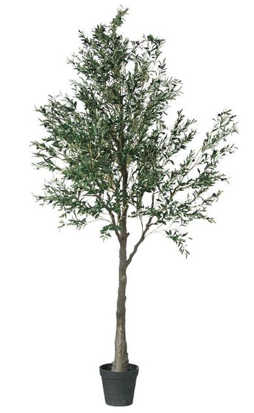 Artificial Olive Tree (KD) , 300cm– Bulk Faux Tree with Black Trunk