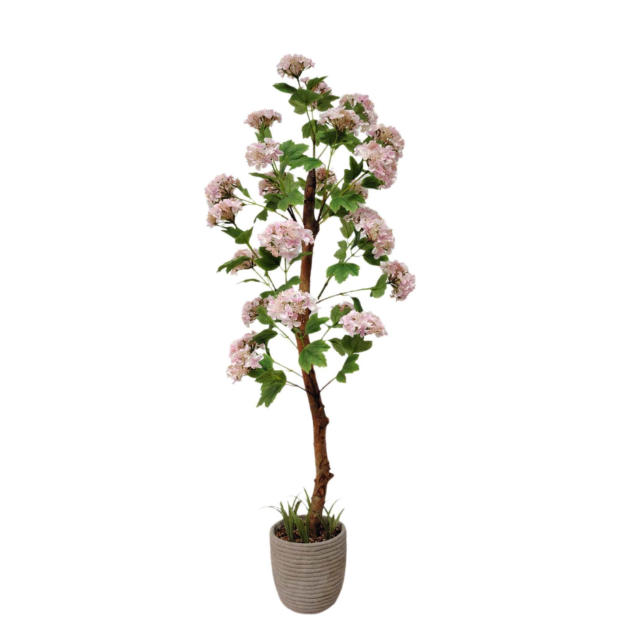 Artificial Real Trunk Cape Leadwort Tree, 150cm