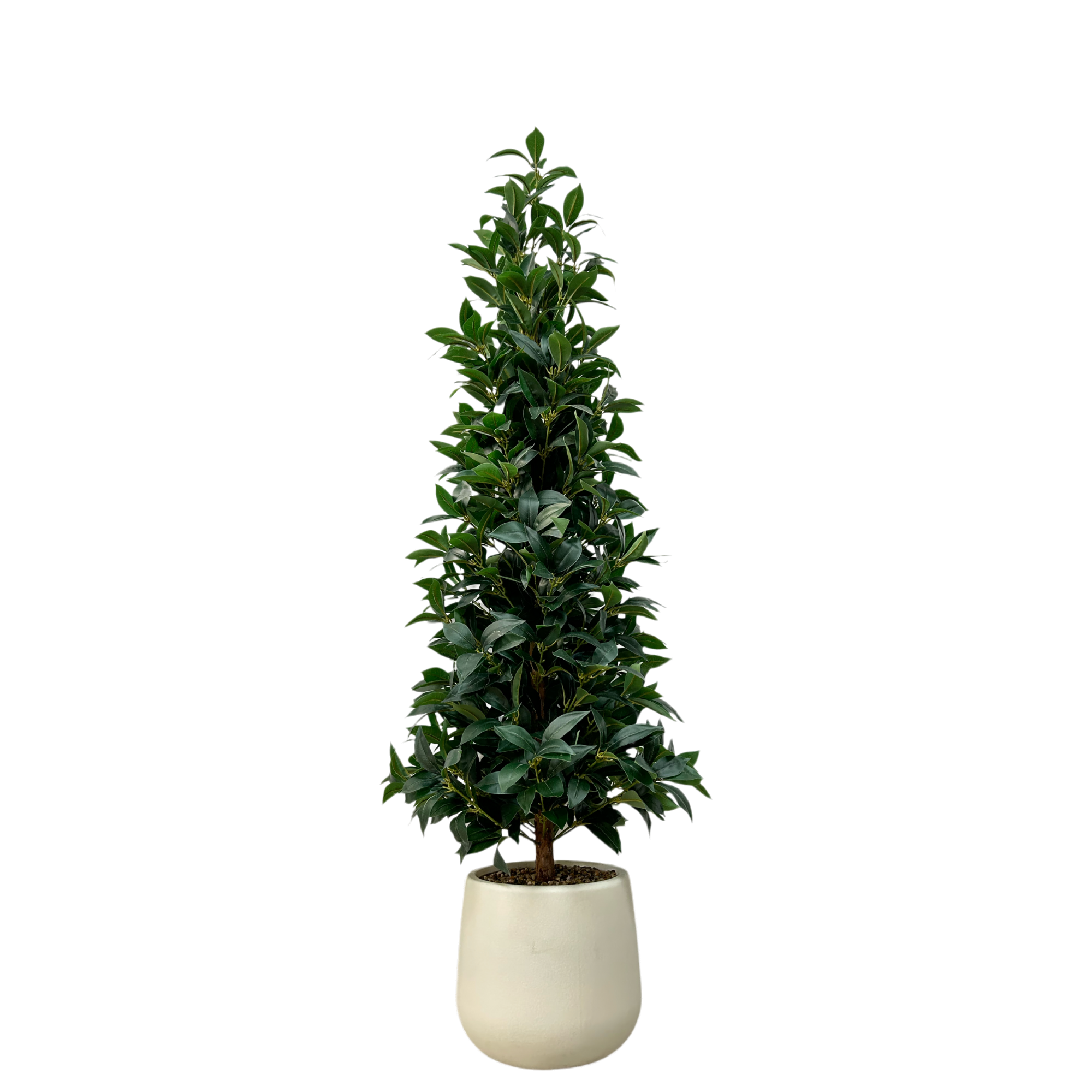 1140-Leaf Artificial Real Trunk Laurel Tree, 150cm