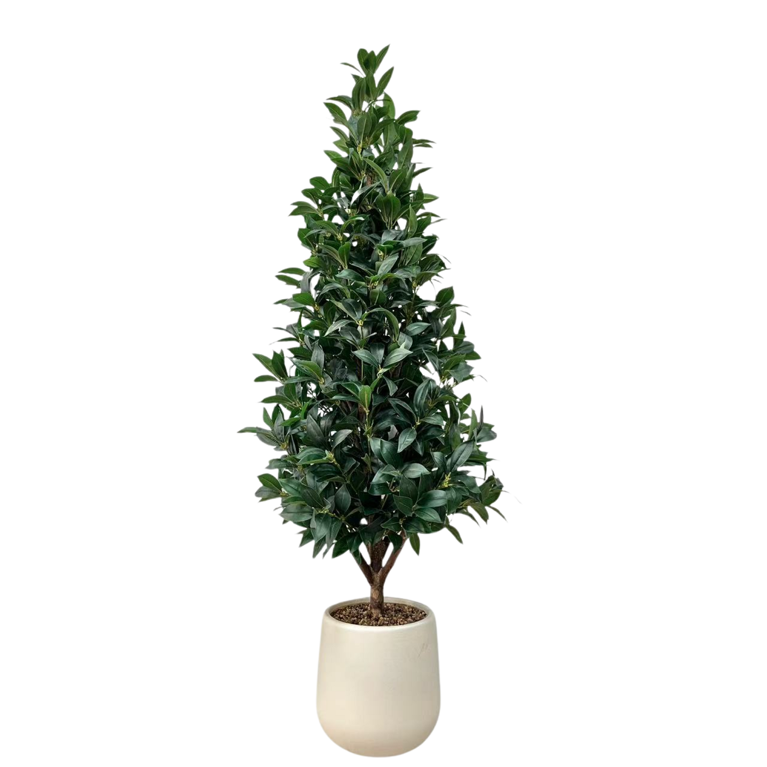 1260-Leaf Artificial Real Trunk Laurel Tree, 150cm
