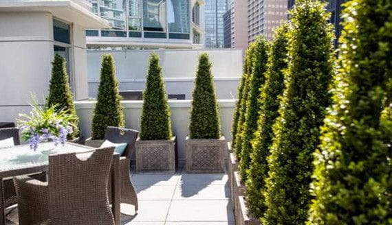 Artificial Plants for Outdoor Landscaping