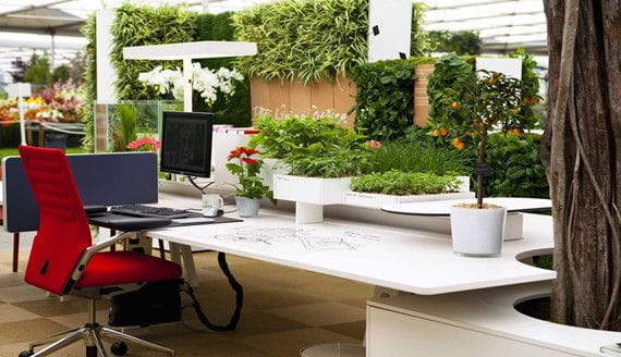 Faux Plant for Office Decoration