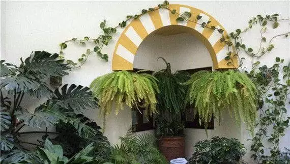 artificial plant for hotel decoration