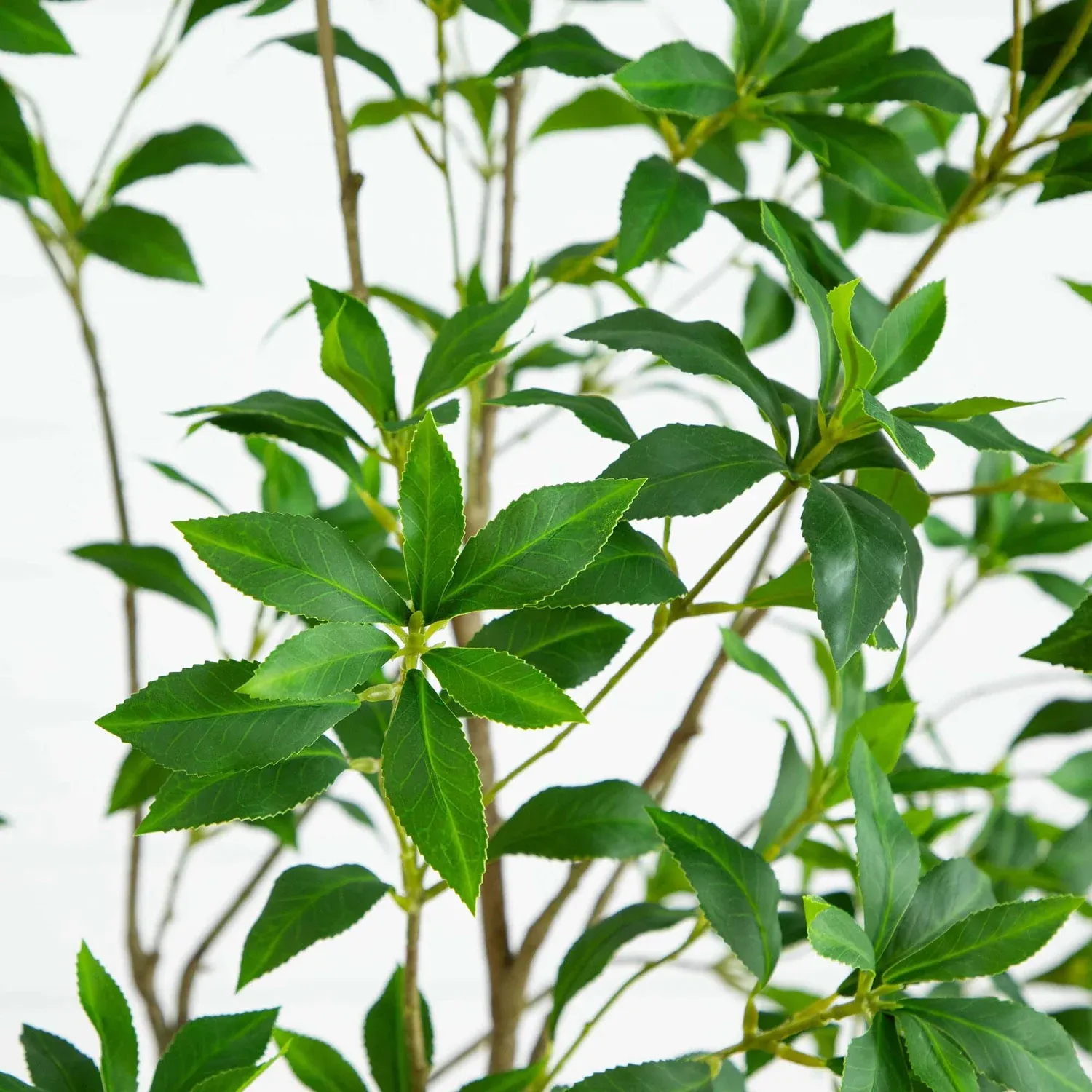 Popular Artificial Pieris Japonica Tree, 210CM Popular Artificial Pieris Japonica Tree, 210CM