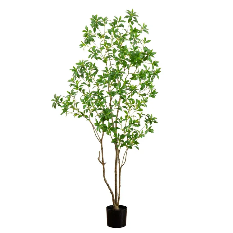 Popular Artificial Pieris Japonica Tree, 210CM