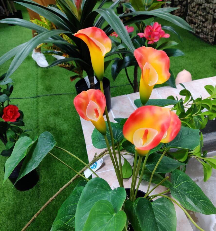 Photograph of Artificial Plants & Trees & Bonsai & Flowers -  up-close-shot (03)