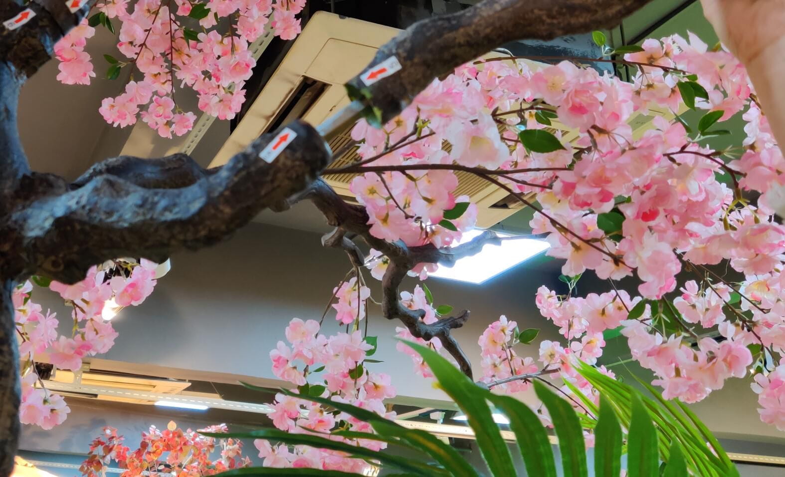 Photograph of Artificial Plants & Trees & Bonsai & Flowers -  up-close-shot (01)