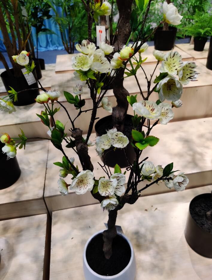 Photograph of Artificial Plants & Trees & Bonsai & Flowers -  up-close-shot (01)