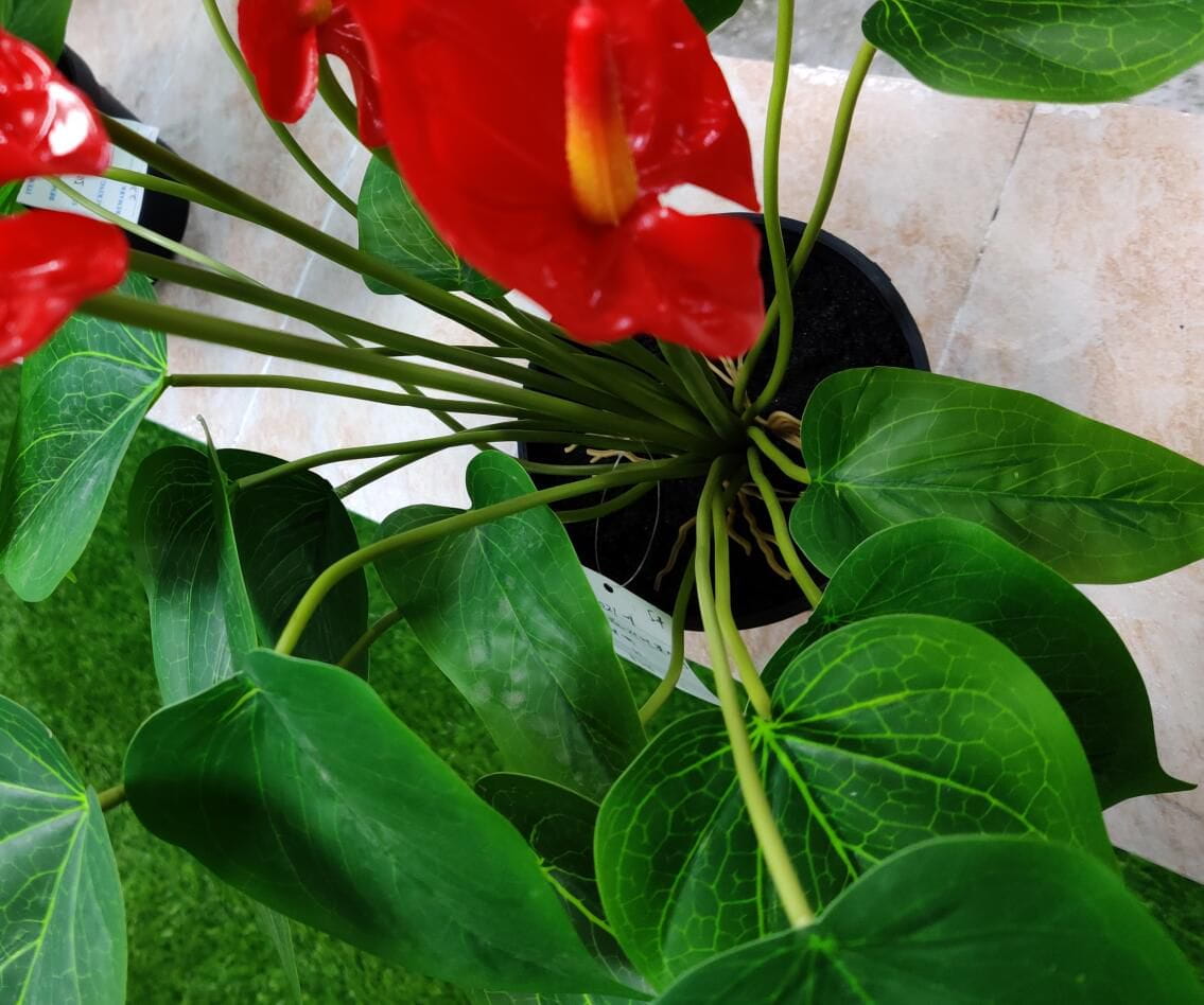 Photograph of Artificial Plants & Trees & Bonsai & Flowers -  up-close-shot (03)