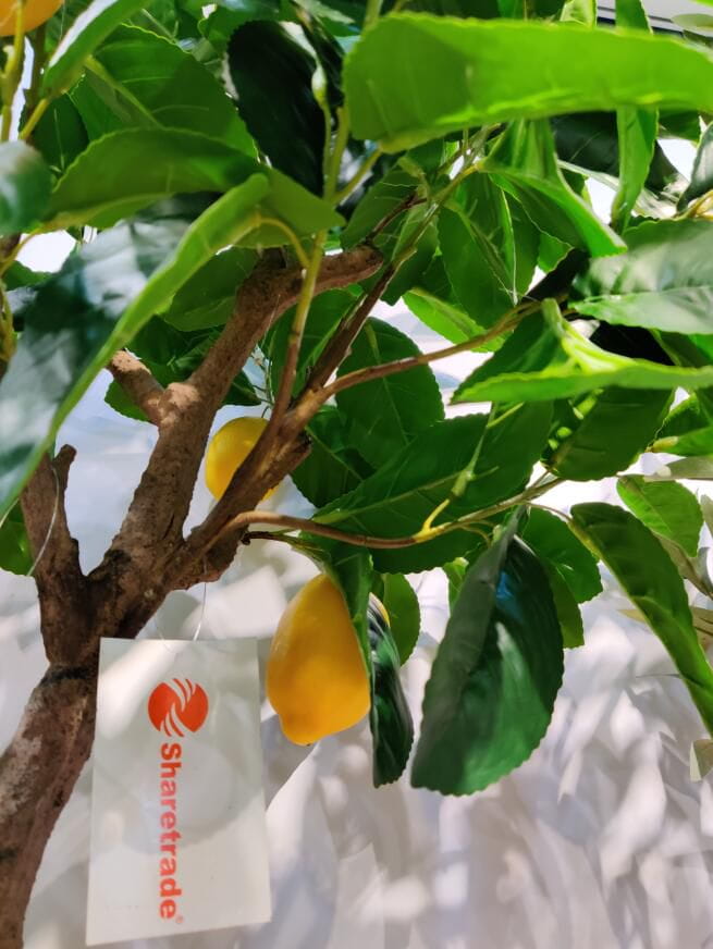 Photograph of Artificial Plants & Trees & Bonsai & Flowers -  up-close-shot (03)