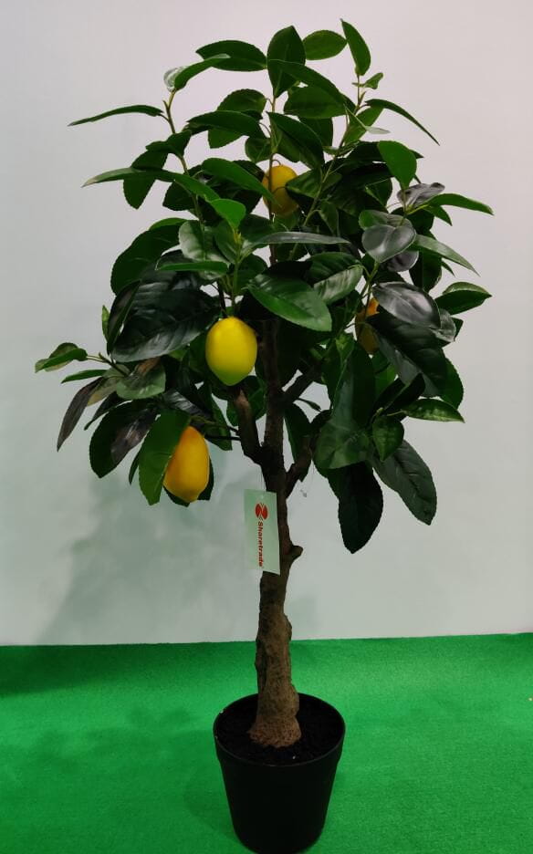 Photograph of Artificial Plants & Trees & Bonsai & Flowers -  up-close-shot (03)