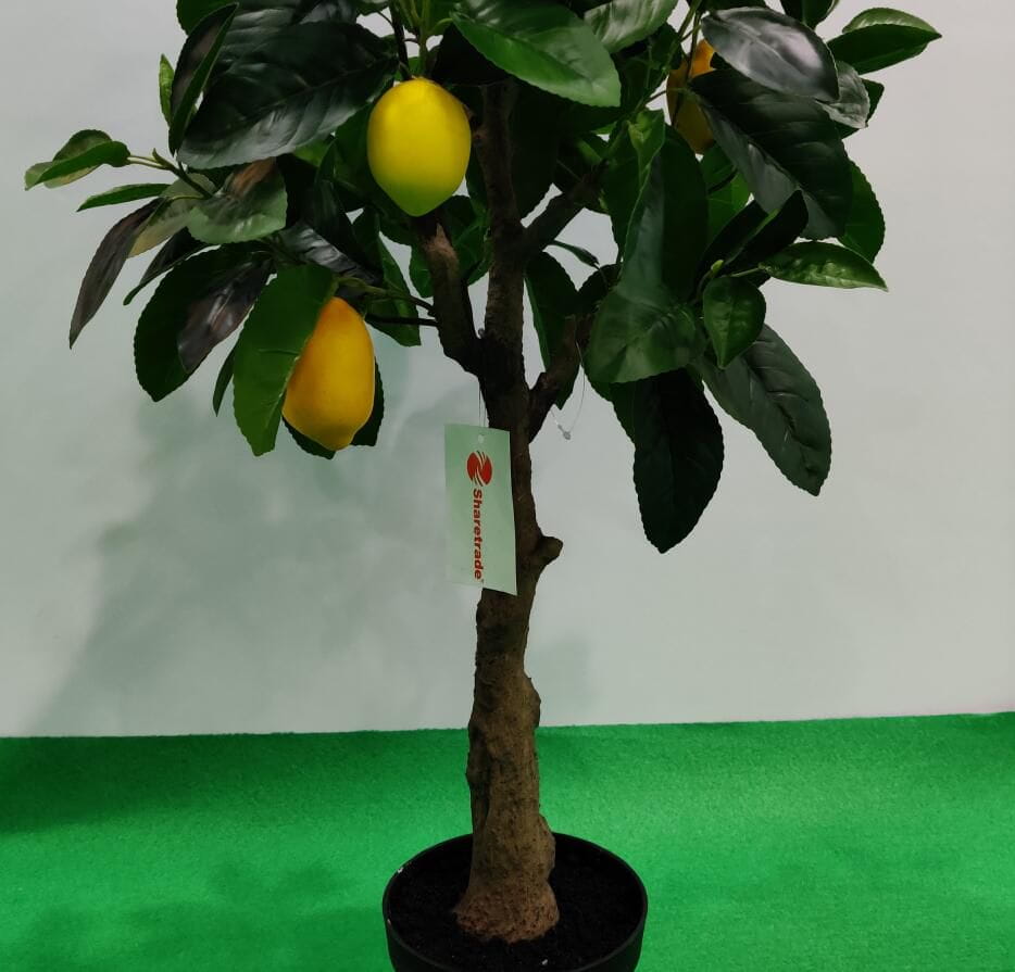Photograph of Artificial Plants & Trees & Bonsai & Flowers -  up-close-shot (03)
