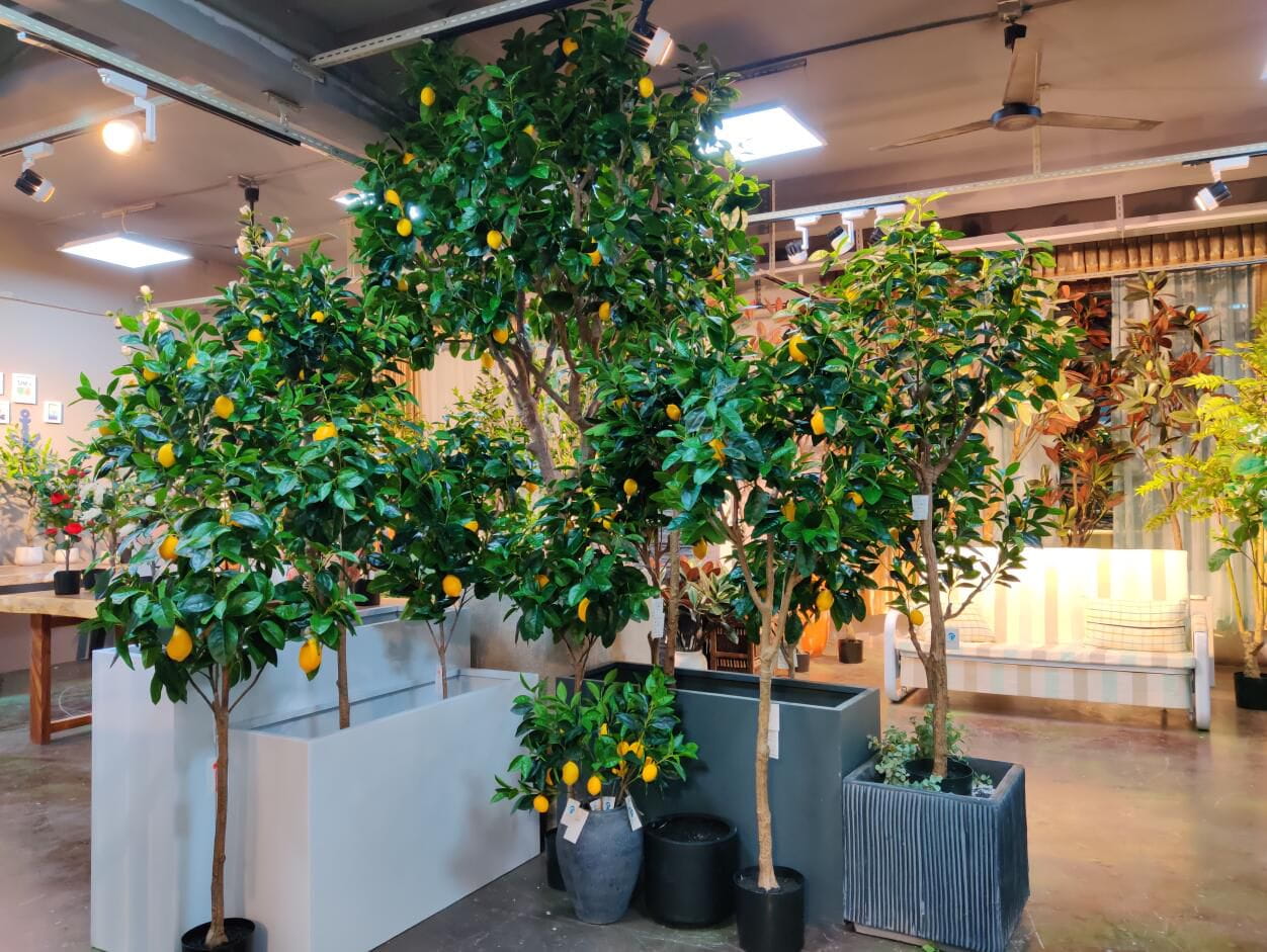Photograph of Artificial Plants & Trees & Bonsai & Flowers -  up-close-shot (03)