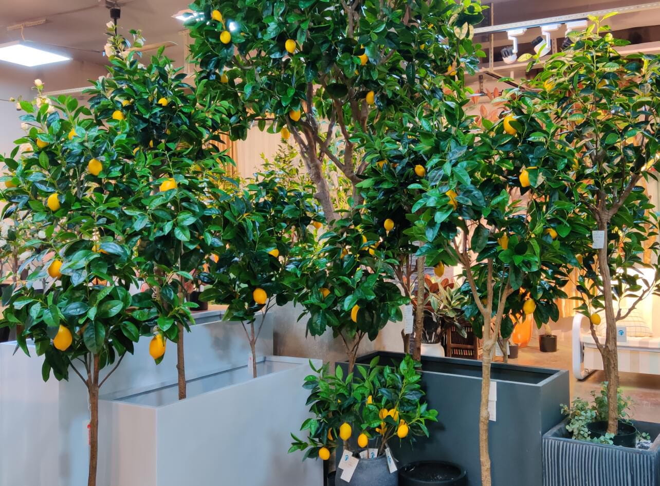 Photograph of Artificial Plants & Trees & Bonsai & Flowers -  up-close-shot (03)