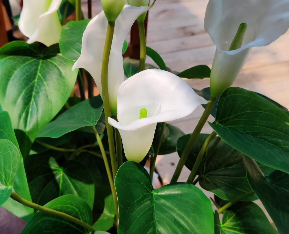 Photograph of Artificial Plants & Trees & Bonsai & Flowers -  up-close-shot (02)