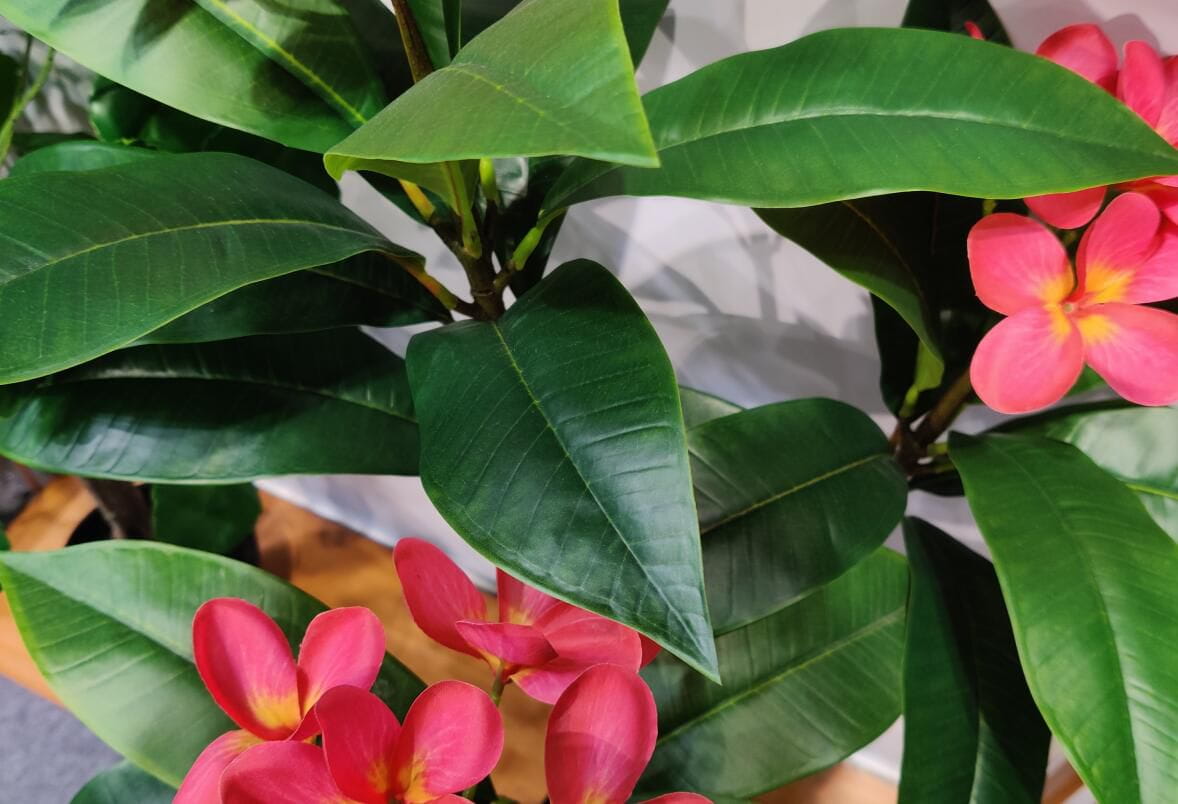 Photograph of Artificial Plants & Trees & Bonsai & Flowers -  up-close-shot (03)