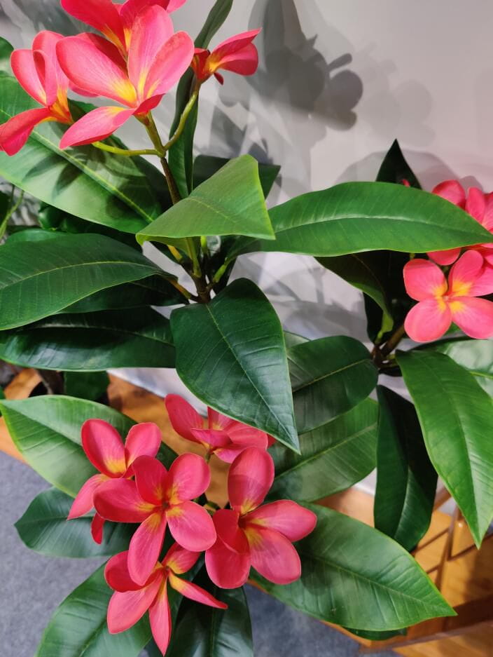 Photograph of Artificial Plants & Trees & Bonsai & Flowers -  up-close-shot (03)