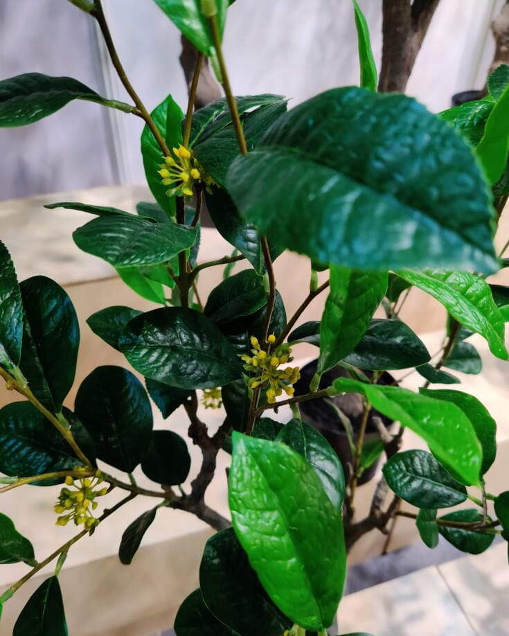 Photograph of Artificial Plants & Trees & Bonsai & Flowers - up-close-shot (01) Photograph of Artificial Plants & Trees & Bonsai & Flowers - up-close-shot (01)