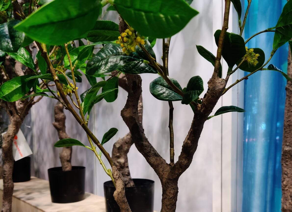 Photograph of Artificial Plants & Trees & Bonsai & Flowers - up-close-shot (01) Photograph of Artificial Plants & Trees & Bonsai & Flowers - up-close-shot (01)