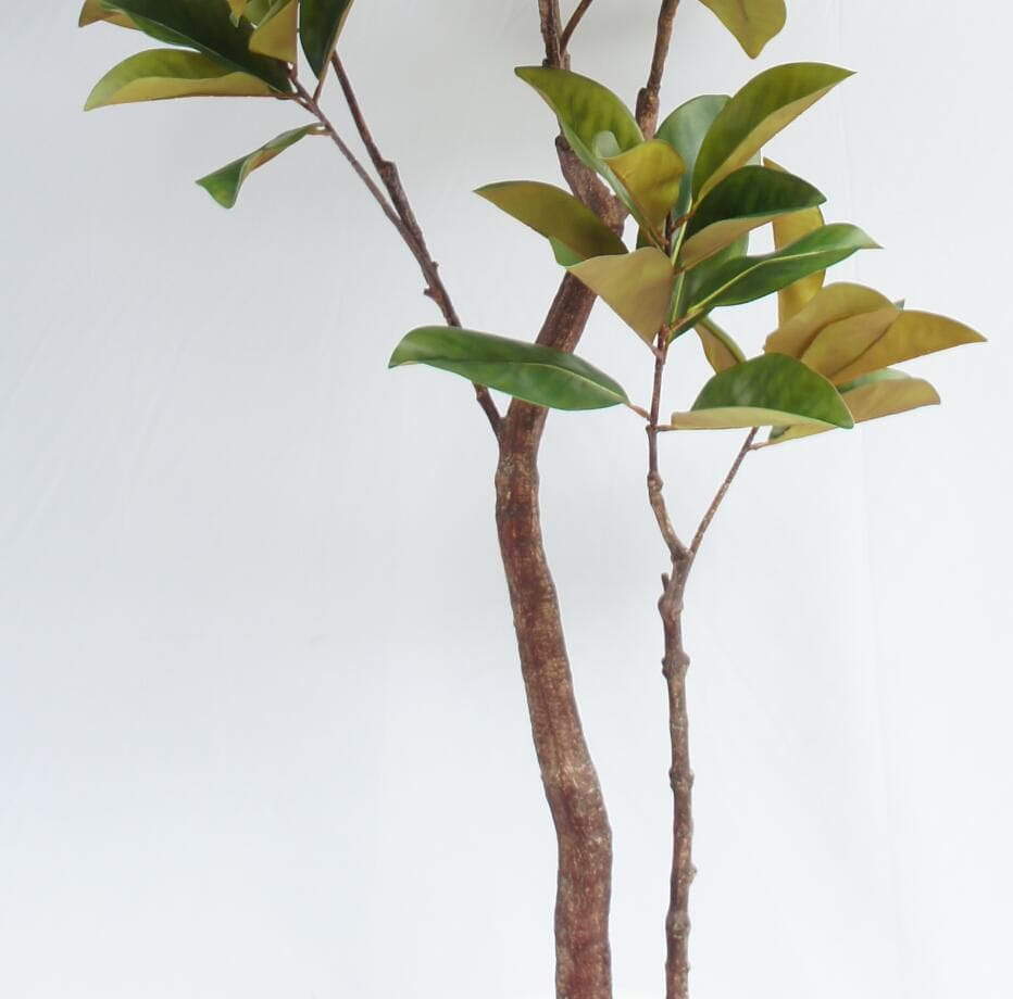 Artificial Big Plant Potted Magnolia Tree, 210 CM Artificial Big Plant Potted Magnolia Tree, 210 CM
