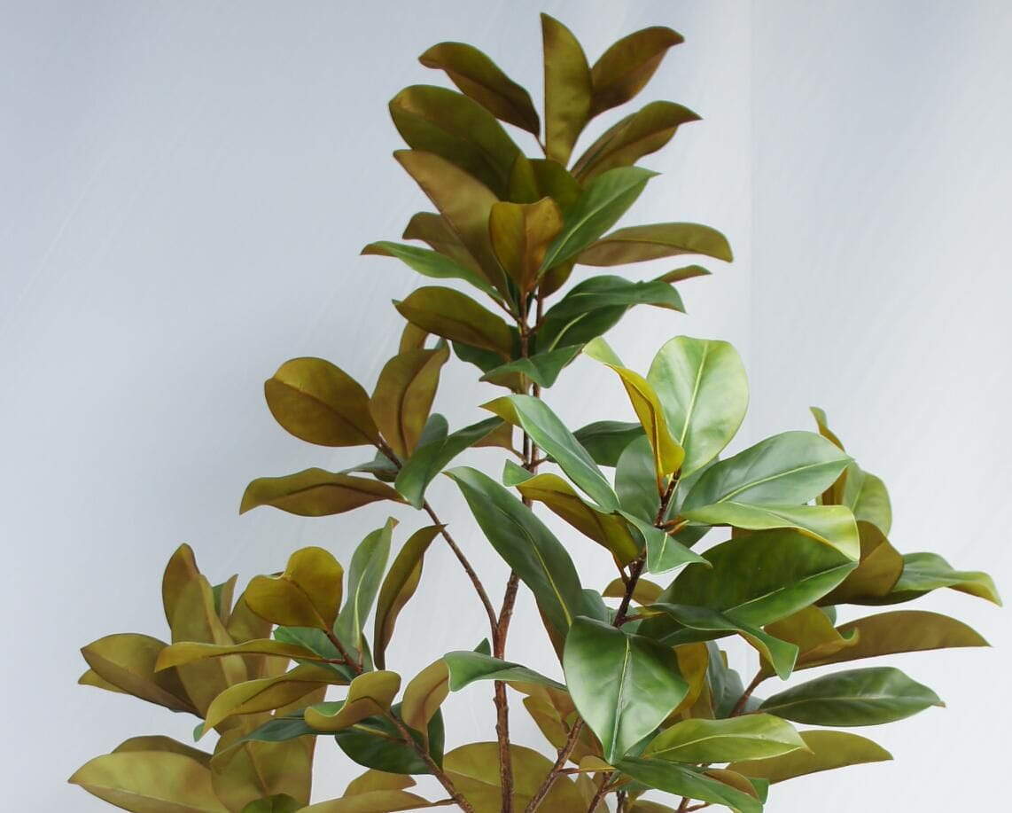 Artificial Big Plant Potted Magnolia Tree, 210 CM Artificial Big Plant Potted Magnolia Tree, 210 CM