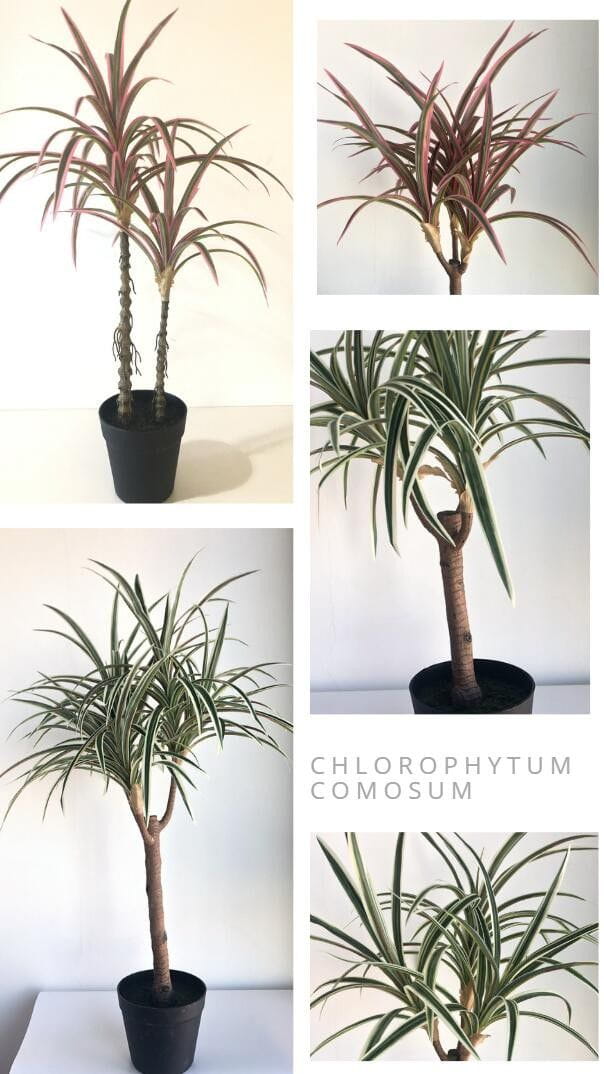 Artificial Bonsai & Artificial Plants
