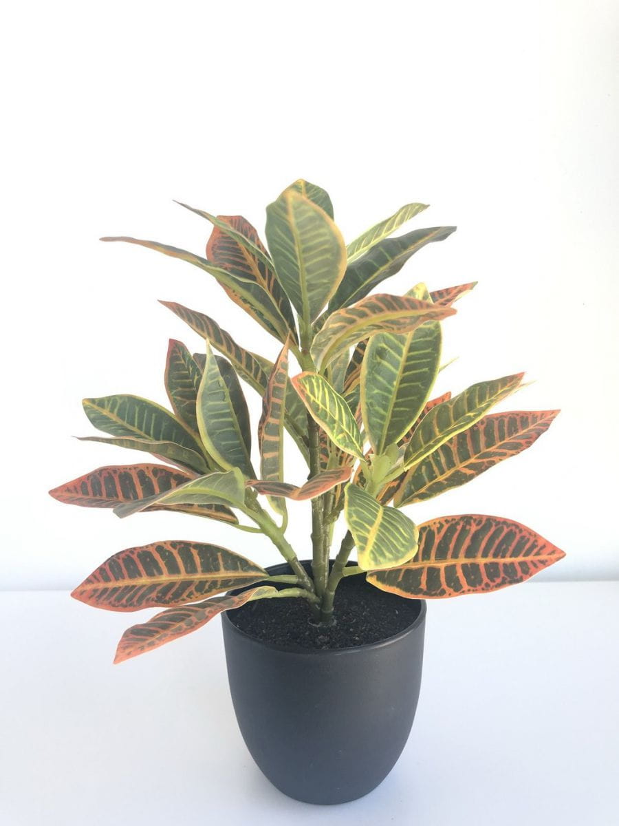Artificial Bonsai & Artificial Plants