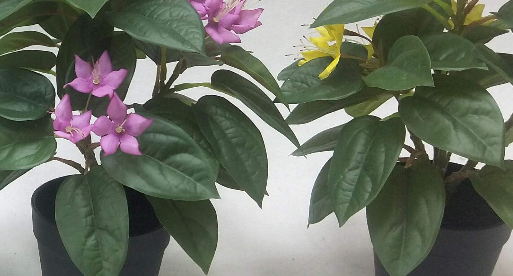 Artificial Flower Plant Multiple Colors for Choose, 30 CM Artificial Flower Plant Multiple Colors for Choose, 30 CM