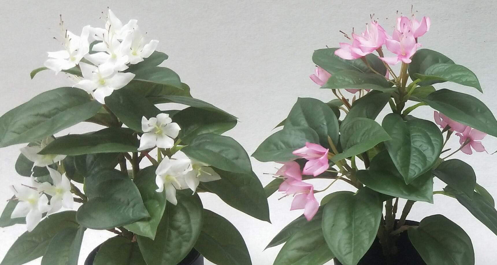 Artificial Flower Plant Multiple Colors for Choose, 30 CM Artificial Flower Plant Multiple Colors for Choose, 30 CM