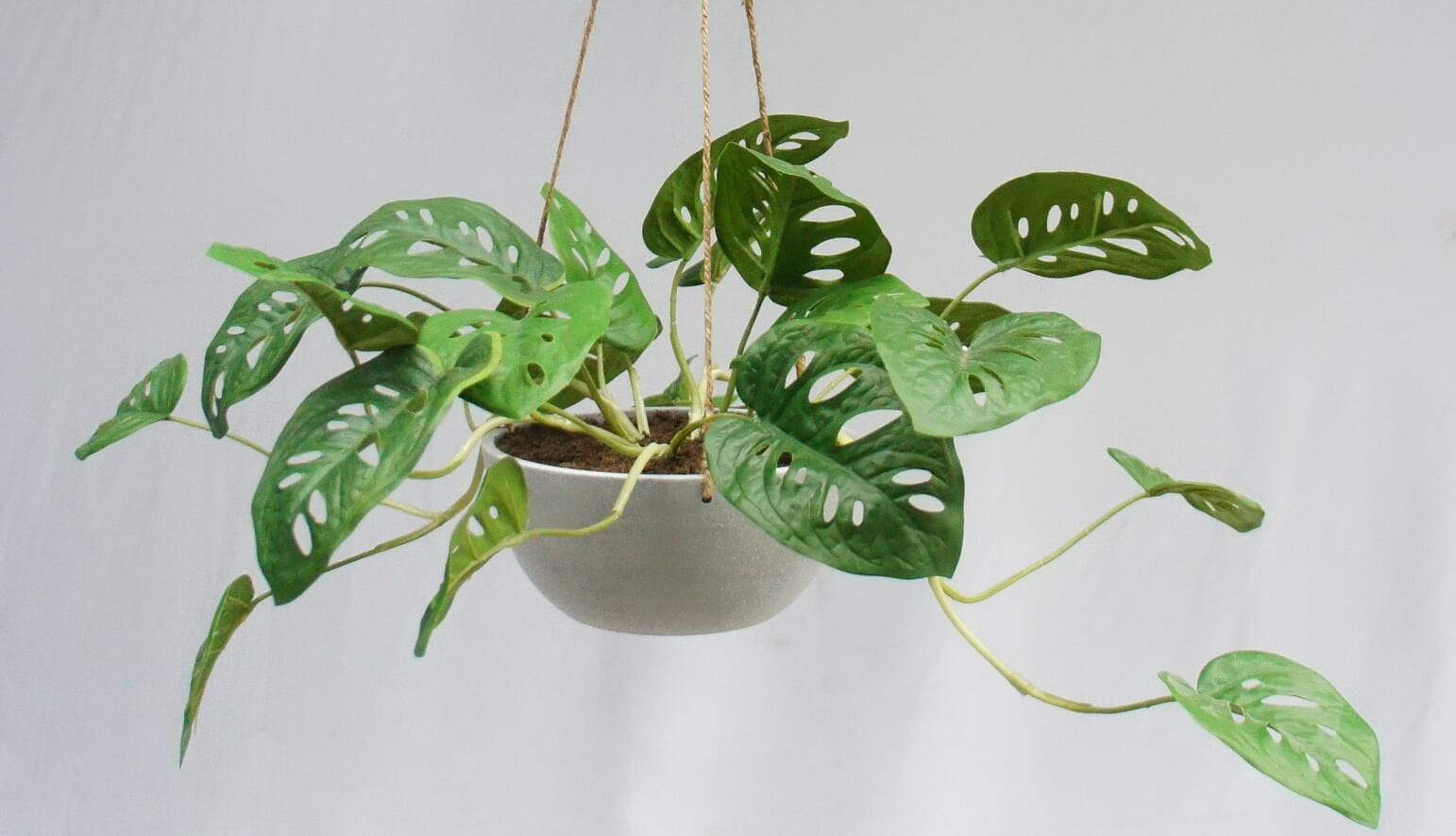 Artificial Hanging Monstera Plant, 40 CM