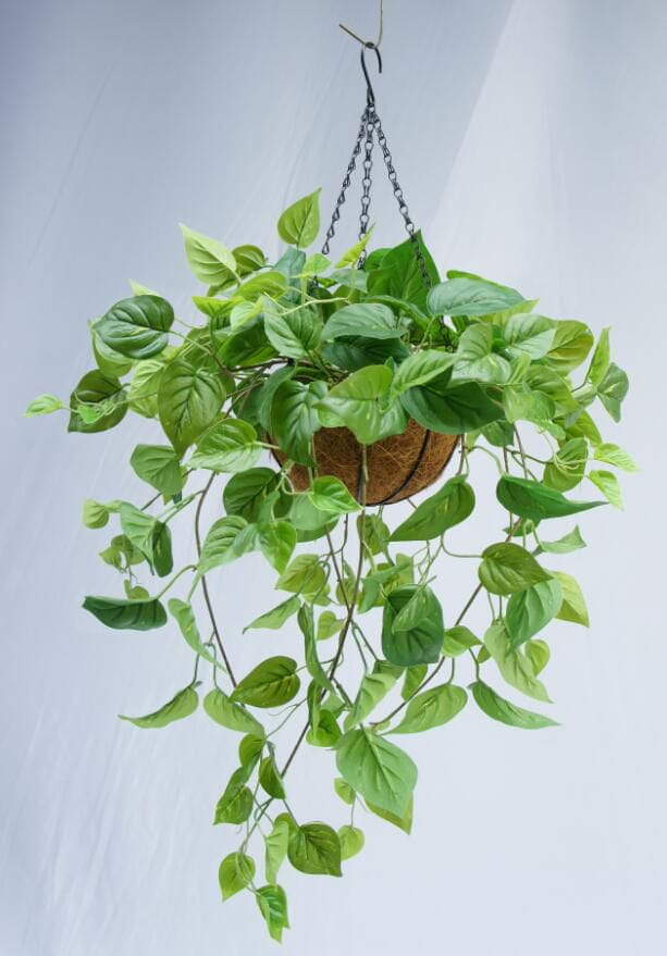 Artificial Hanging Monstera Plant, 40 CM - Sharetrade