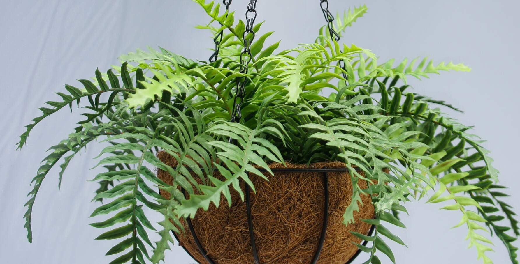 Artificial Hanging Plant 2021 New Fern, 30 CM