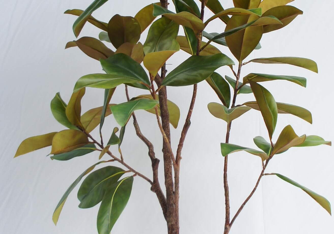 Artificial Magnolia Tree With Black Plastic Pot, 180 CM Artificial Magnolia Tree With Black Plastic Pot, 180 CM