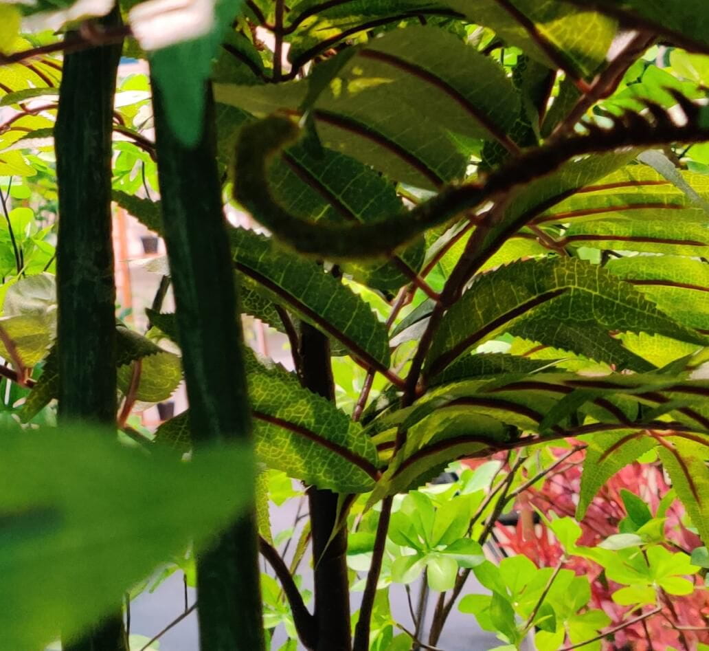 Photograph of Artificial Plants & Trees & Bonsai & Flowers -  up-close-shot (01)