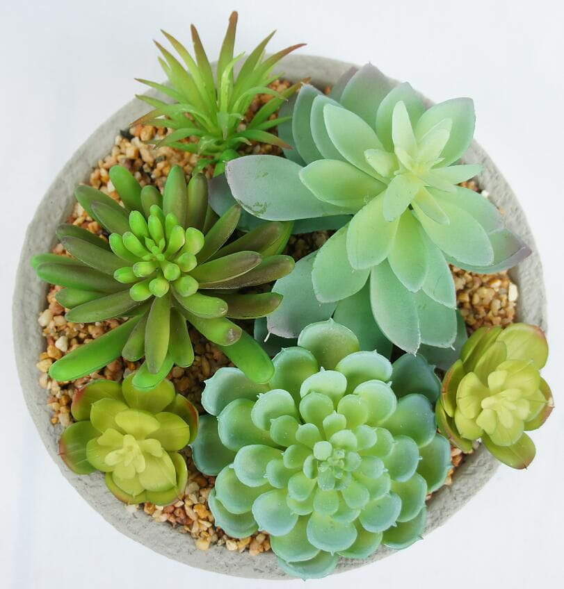 Mini Artificial Succulent Plants with Pots