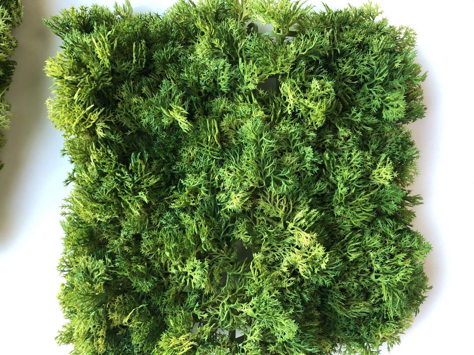 2021 New Design Artificial Moss
