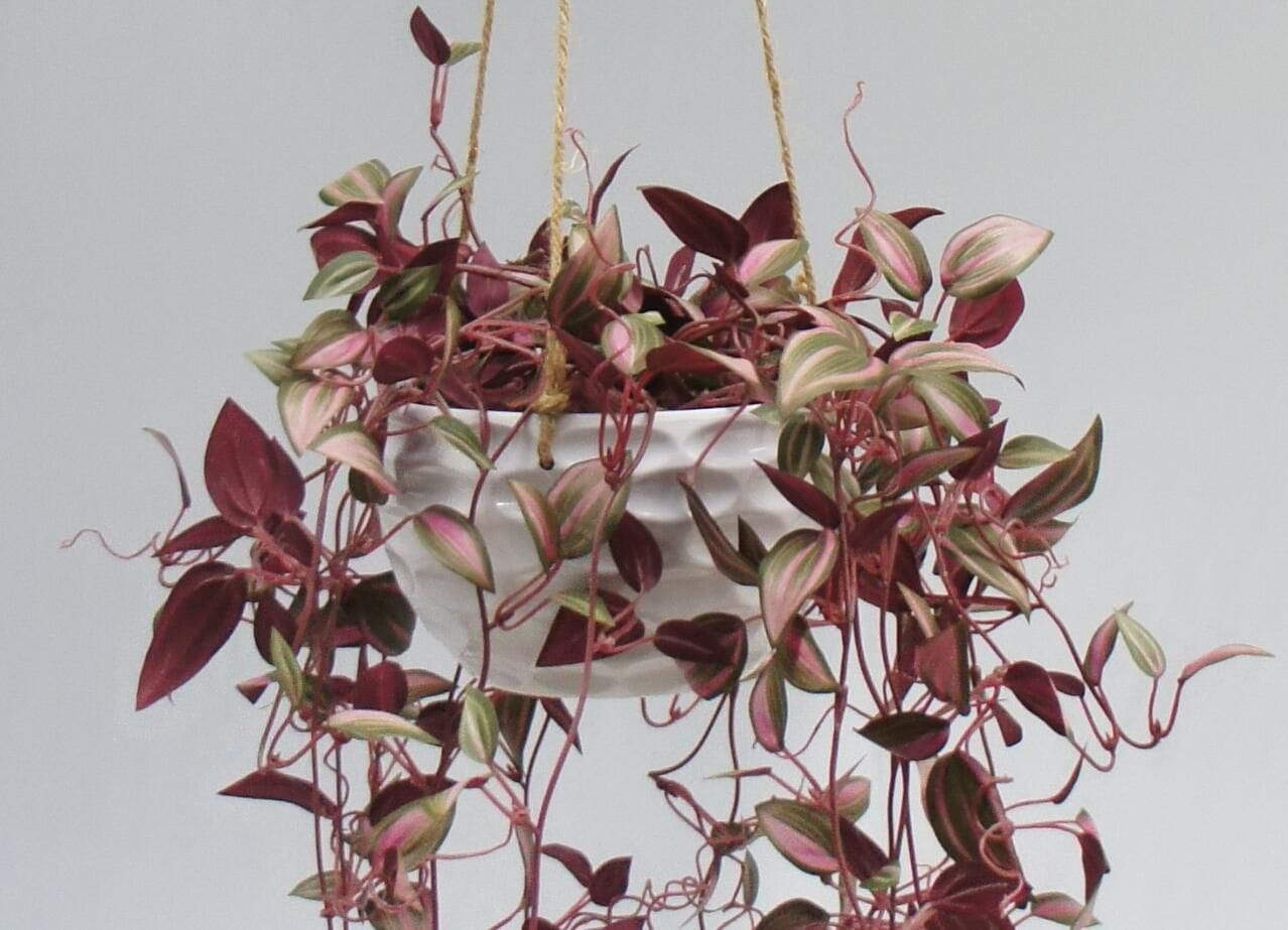 Artificial New Design Hanging Plant, 60 CM Artificial New Design Hanging Plant, 60 CM