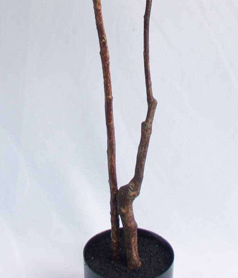 Artificial New Design Magnolia Tree, 120 CM Artificial New Design Magnolia Tree, 120 CM