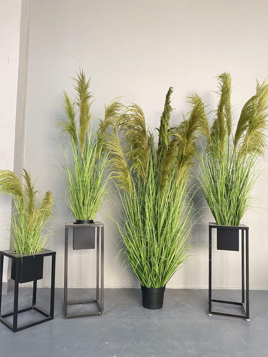 Artificial Phragmites Australis Bonsai, 90 CM - 186 CM Artificial Phragmites Australis Bonsai, 90 CM - 186 CM