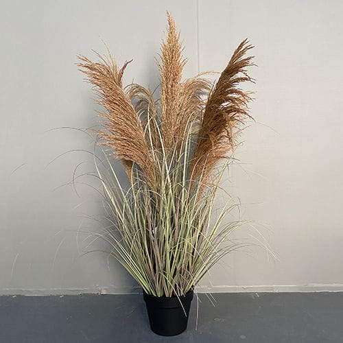 Artificial Phragmites Communis Bonsai, 90 CM, 110 CM, 173 CM, 186 CM