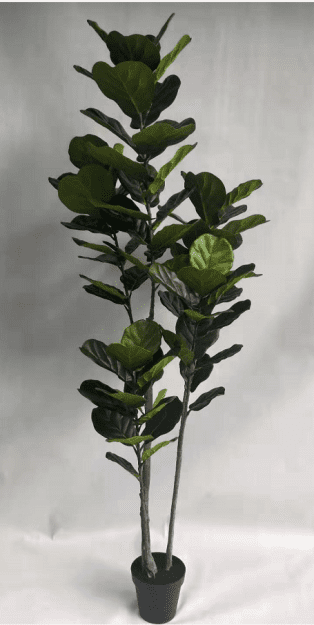 Artificial Plants & Artificial Trees - Ficus lyrata