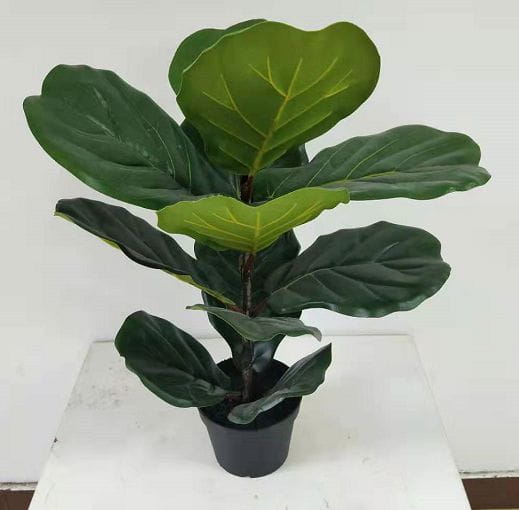 Artificial Plants & Artificial Trees - Ficus lyrata