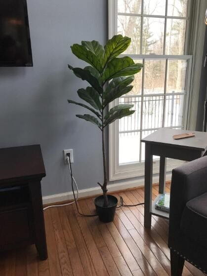 Artificial Plants & Artificial Trees - Ficus lyrata