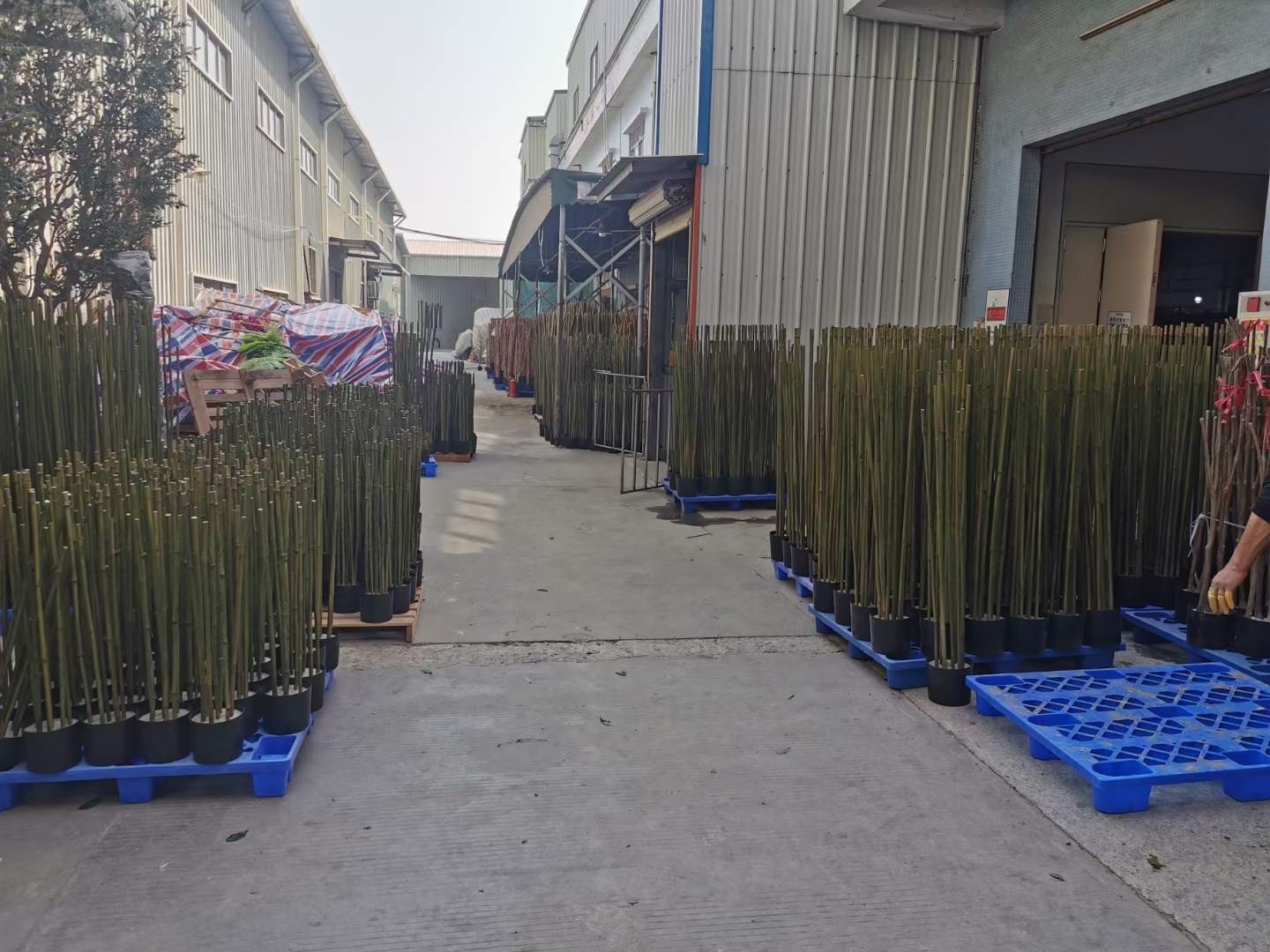 Artificial Plants Factory