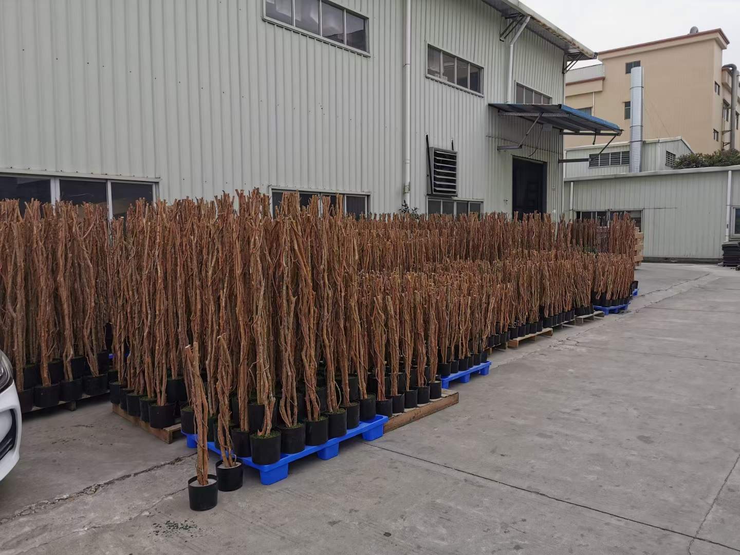Artificial Plants Factory