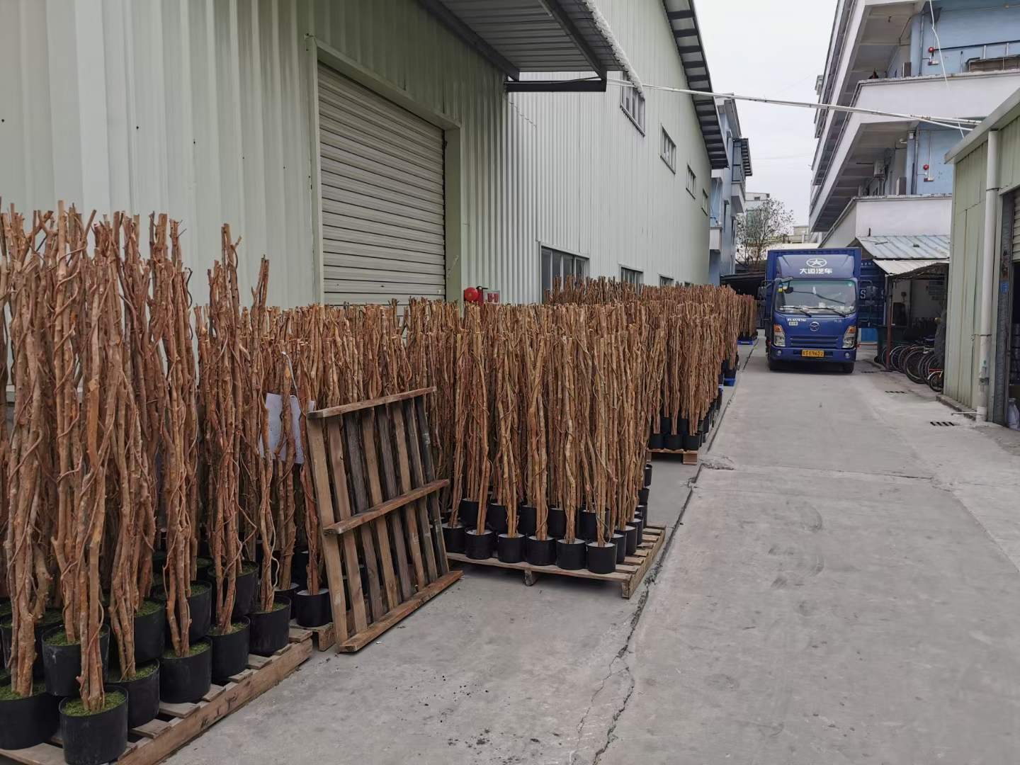 Artificial Plants Factory